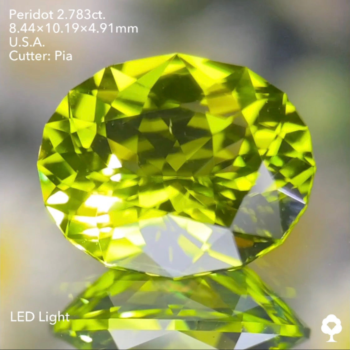 【5万円スタート❗️2023カウントダウン逆オークション】美色高品質のコレぞピアッちゃんの王道ファンシーオーバル★ペリドット2.783ct. アメリカ産 ピアッちゃん作品