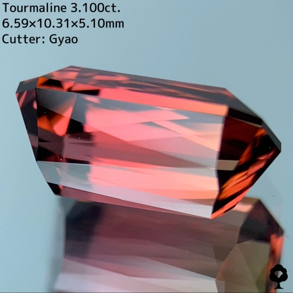 大人可愛いピンクからゴールドへのグラデーションにシザースの圧倒的な輝き★トルマリン 3.100ct