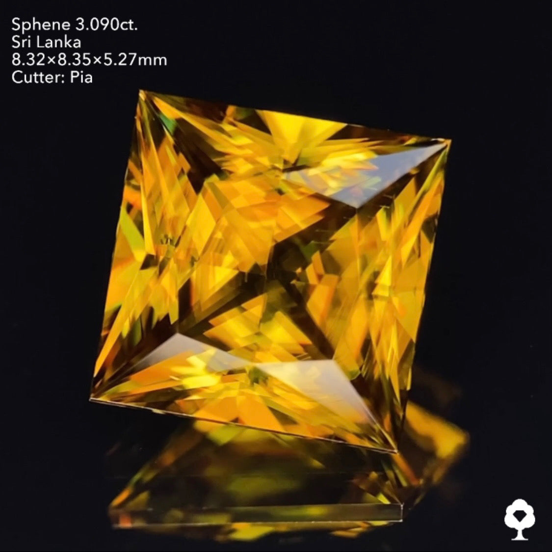 王様の風格ある3ctアップのギラギラプリンセス★スリランカスフェーン3.090ct ピアッちゃん作品