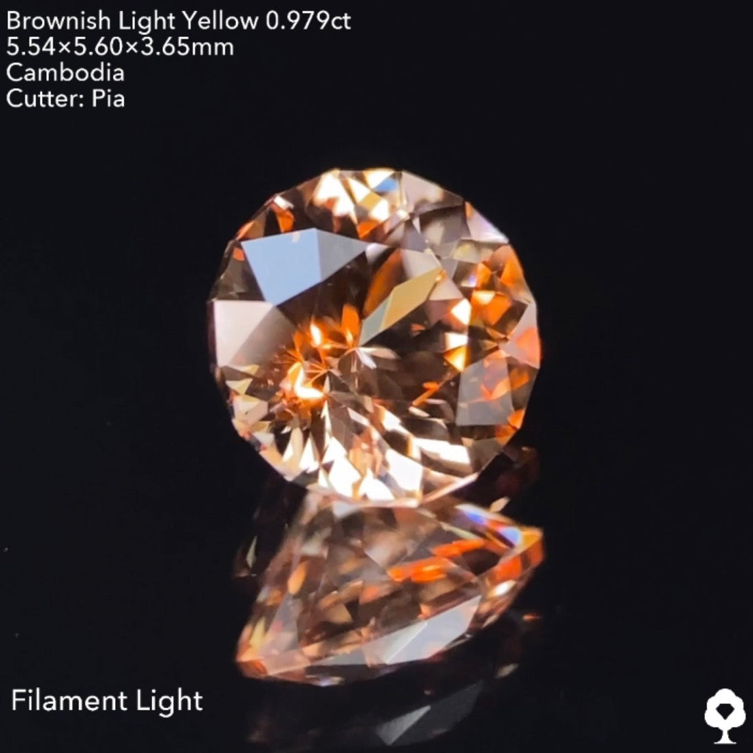 【GTJウェブサイト個展プライス】絶妙な色合いで強烈な輝きのファンシーラウンド★ジルコン0.976ct ピアッちゃん作品