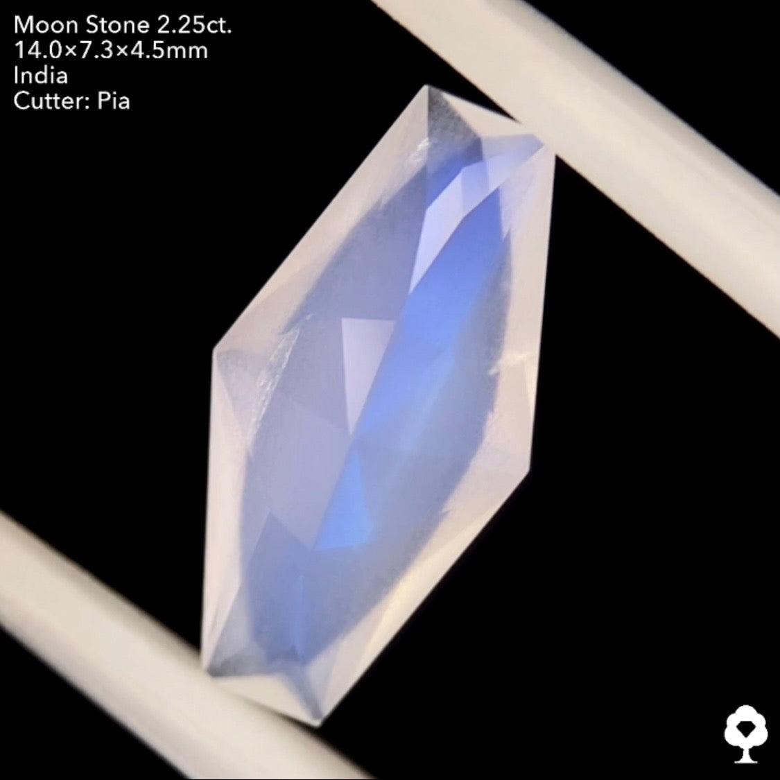 6/12(日)22:00終了‼️テーブルから溢れ出すブルーシラーと幻想的な石質のカッコいいファンシーカイト★ムーンストーン2.25ct. ピアッちゃん作品