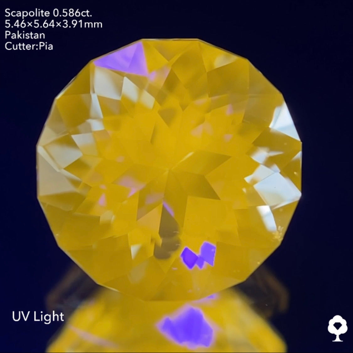 ギラギララウンドが蛍光して美しいたんぽぽになる★スキャポライト0.586ct ピアッちゃん作品