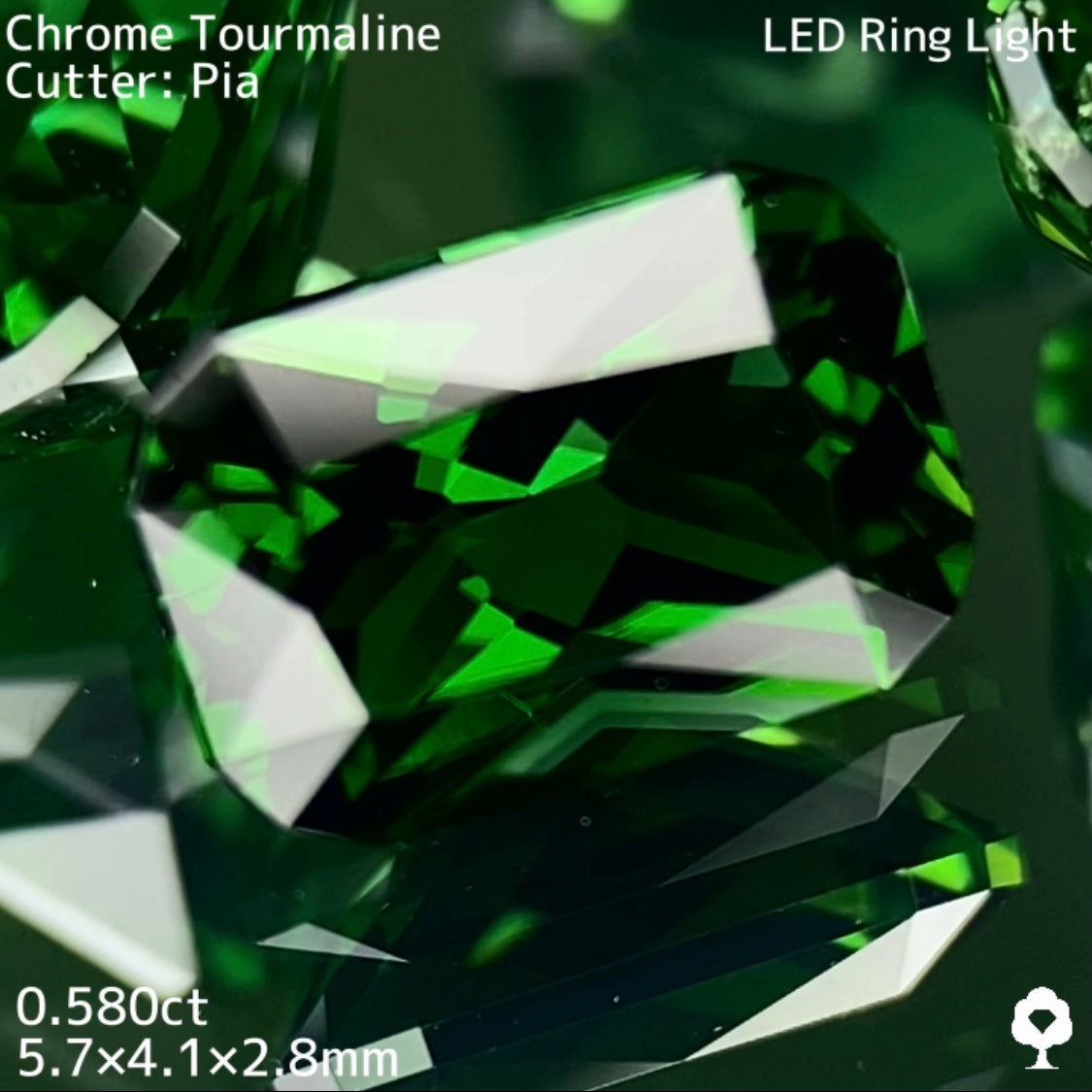 水スタ / ZB 3枚迄使用可【5/17 19時 - 5/21 21時】クロムトルマリン 0.580ct