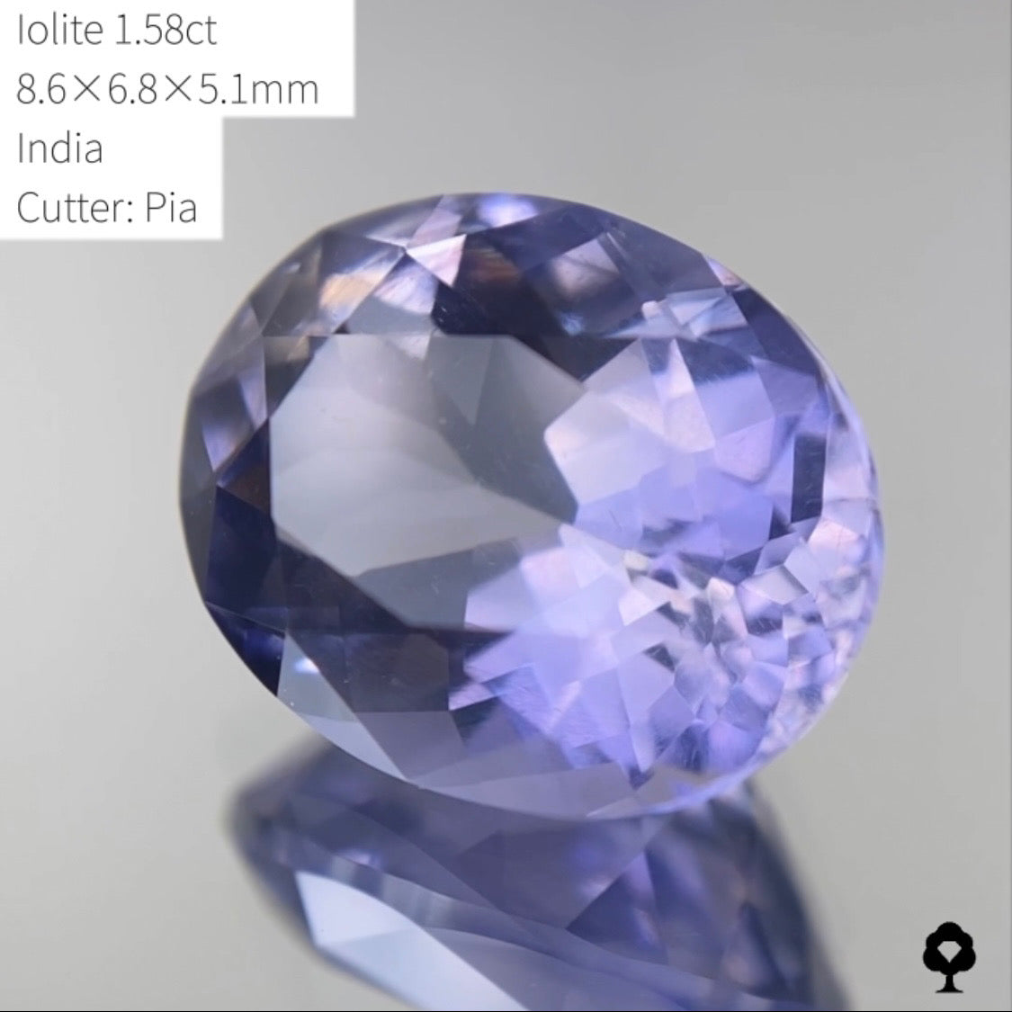 【SOLD OUT】★ゲームオーバーのたびに安くなる逆オークション★アイオライト1.58ct ピアッちゃん作品 4/3サイレンGAME配信