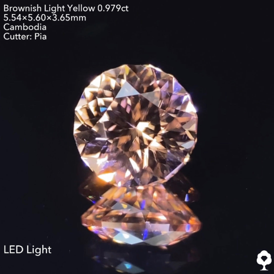 【GTJウェブサイト個展プライス】絶妙な色合いで強烈な輝きのファンシーラウンド★ジルコン0.976ct ピアッちゃん作品