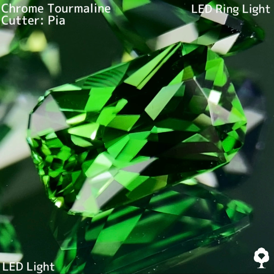 【高級プチプラ】クロムトルマリン 0.693ct