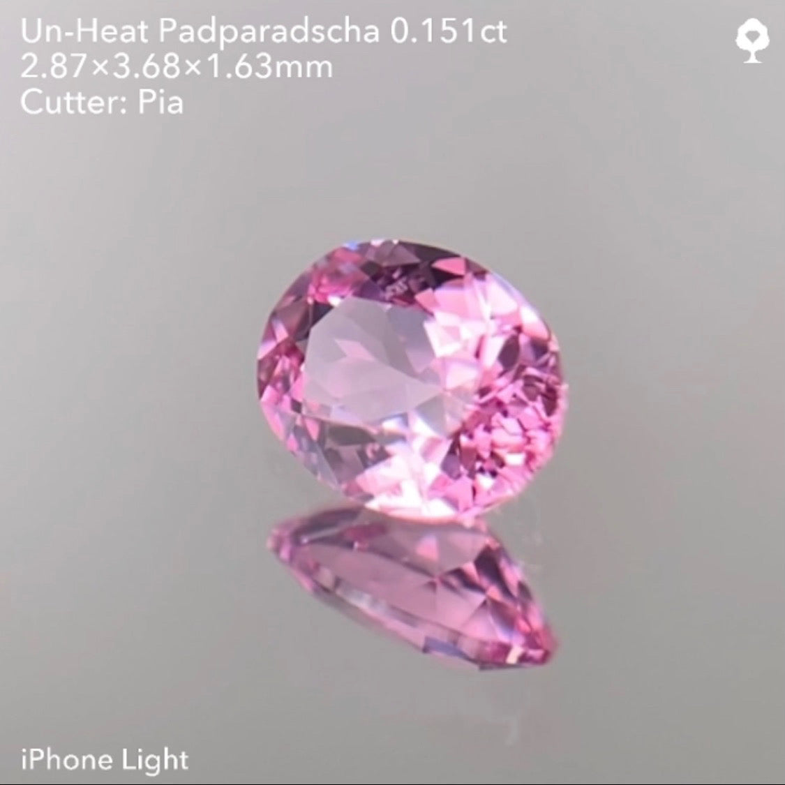 【SOLD OUT】非加熱パパラチァサファイア0.151ct/ピアッちゃん作品 ★11/11ハラキリ1円オークションライブ★クーポンはごめんなさい🙇♂️