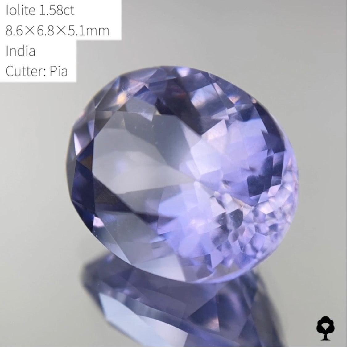 【SOLD OUT】★ゲームオーバーのたびに安くなる逆オークション★アイオライト1.58ct ピアッちゃん作品 4/3サイレンGAME配信