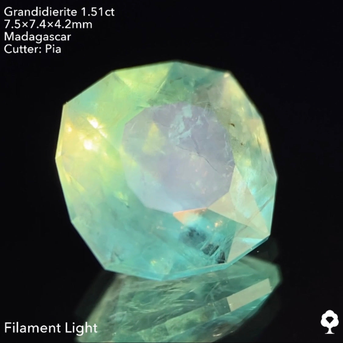 【仕切り直し‼️個展特別オークション】グランディディエライト1.51ct