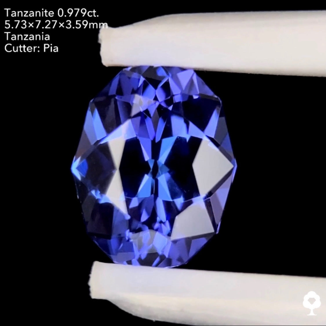 タンザナイト0.979ct. ファンシーオーバル ピアッちゃん作品