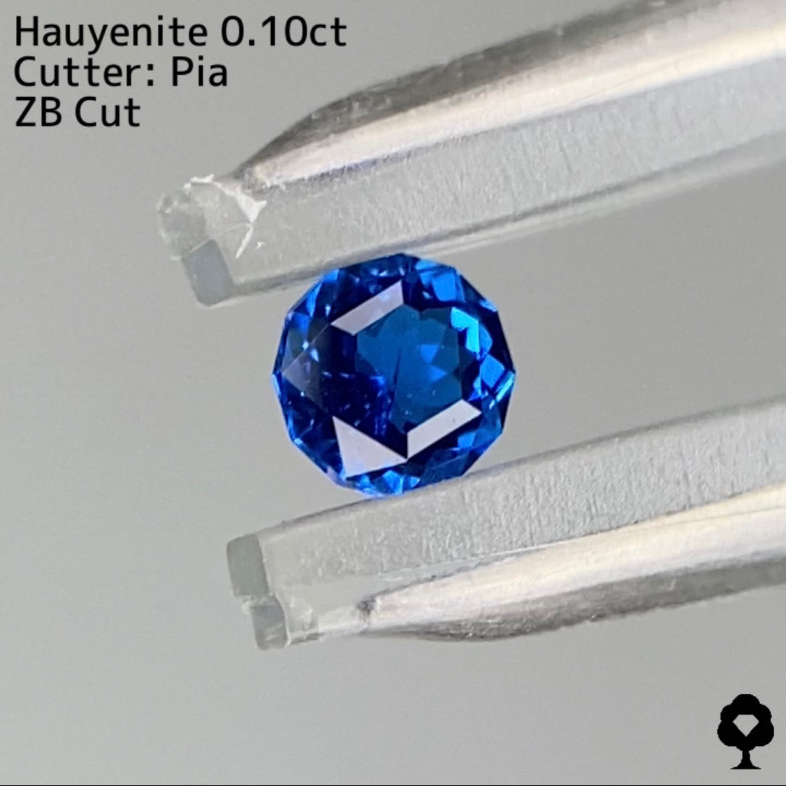 【ZBカット】アウィンナイト0.100ct. ピアッちゃん作品