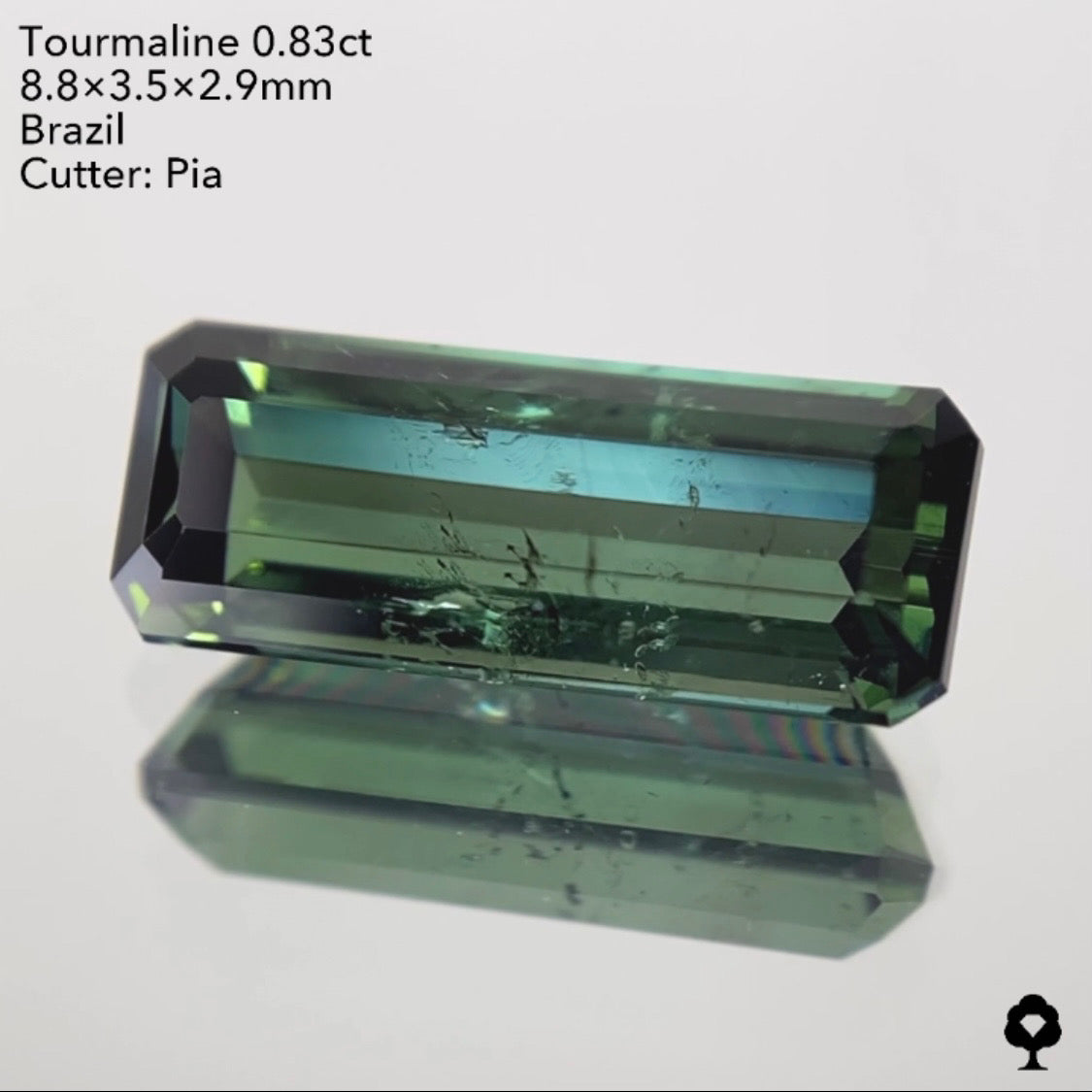 【ご落札者さま専用】トルマリン0.83ct 4/15チャットオークション