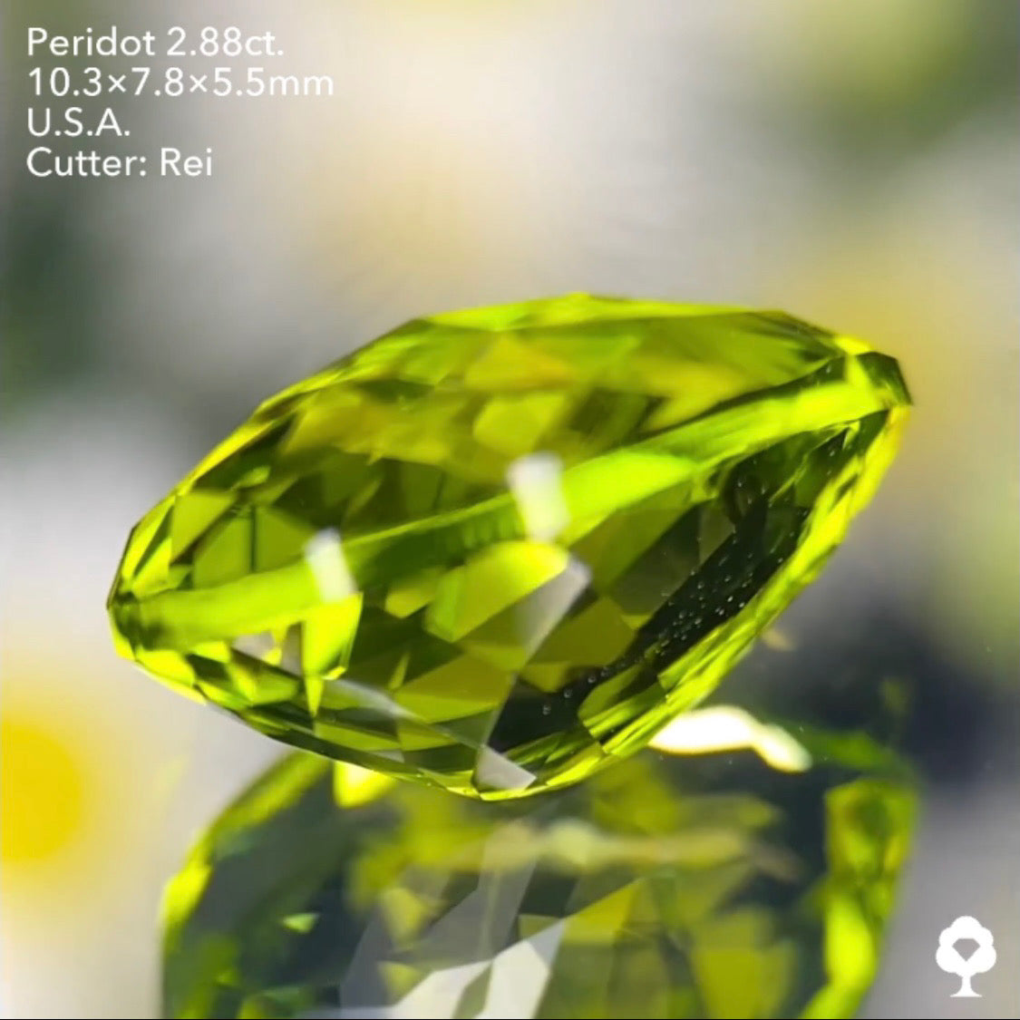 3角ファセット煌めく美色クラウンローズペアシェイプ★ペリドット2.88ct. アメリカ産 レイちゃん作品