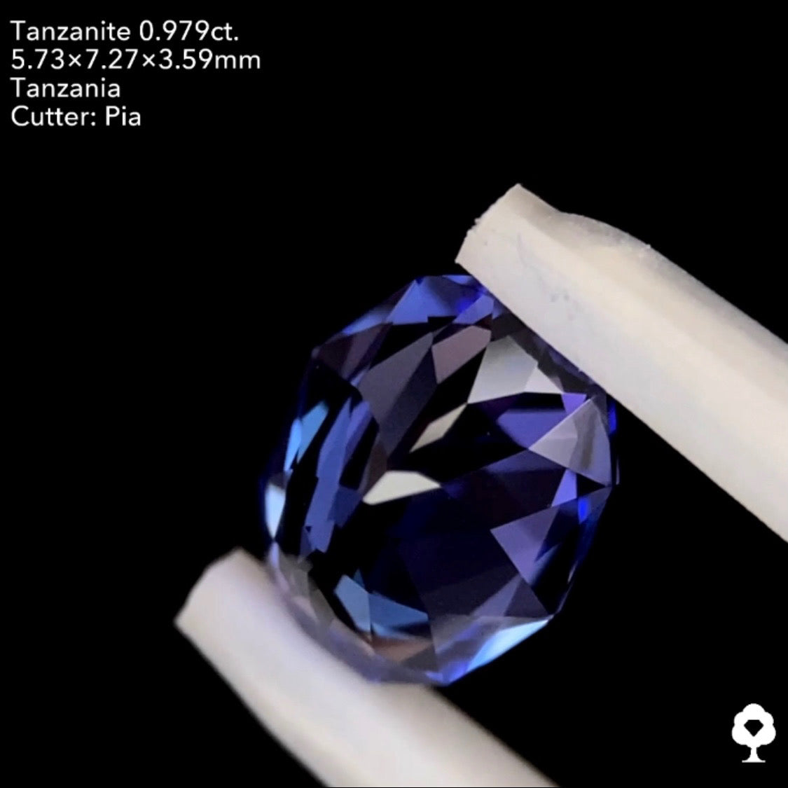 タンザナイト0.979ct. ファンシーオーバル ピアッちゃん作品