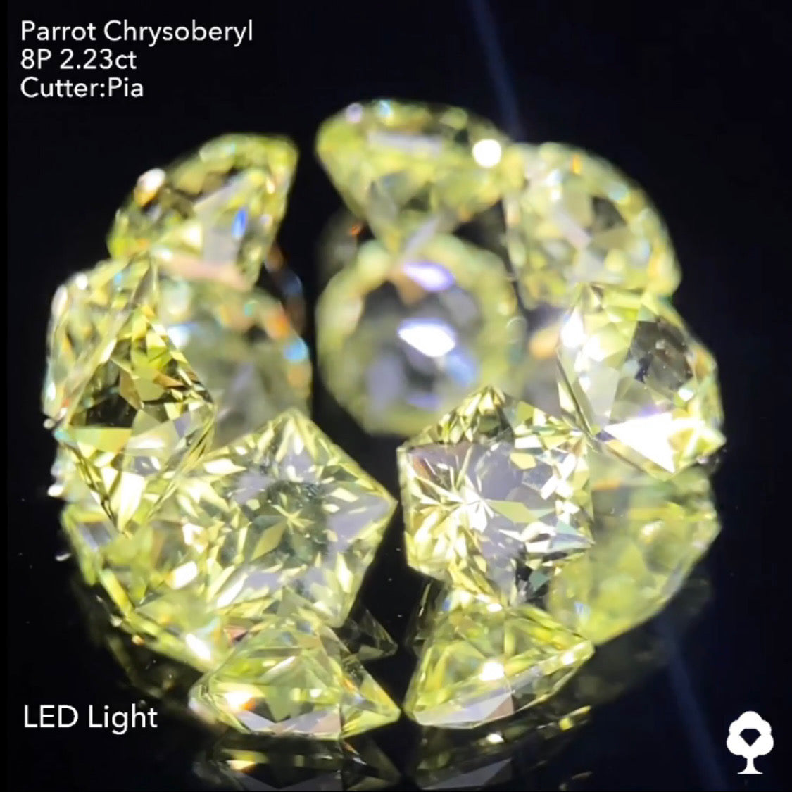 【9/1(木)終了‼️1ヶ月オークション】パロットクリソベリル2.23ct. ピアッちゃん作品