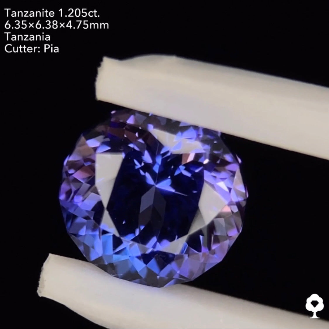 タンザナイト1.205ct. ファンシーラウンド ピアッちゃん作品