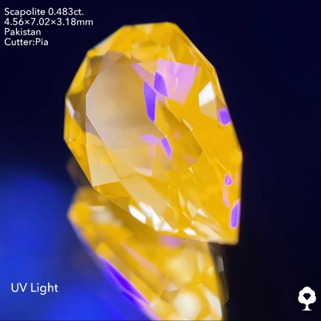 ファンシーペアシェイプの鋭い煌めきはUV蛍光でも美しい★スキャポライト0.483ct ピアッちゃん作品