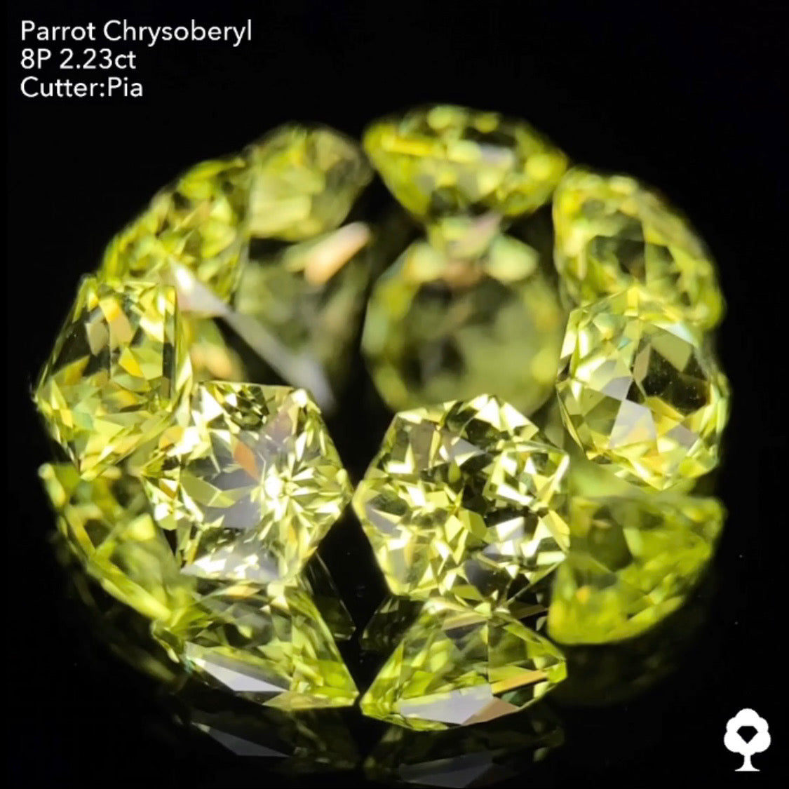 【9/1(木)終了‼️1ヶ月オークション】パロットクリソベリル2.23ct. ピアッちゃん作品