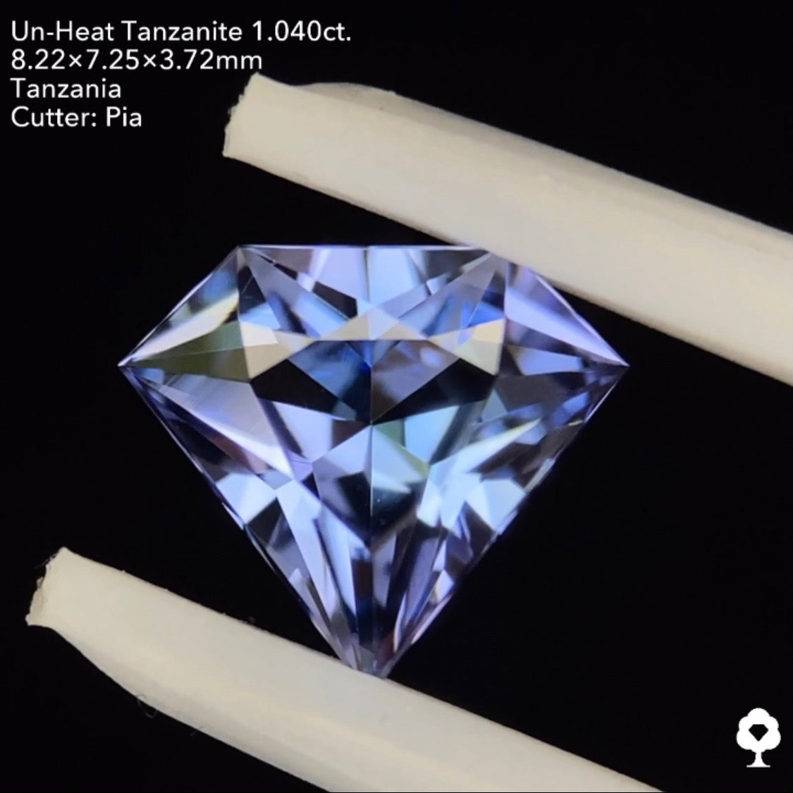 非加熱タンザナイト1.040ct. 宝石形 ピアッちゃん作品