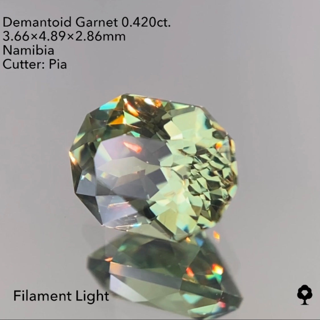 【SOLD OUT】ナミビアデマントイドガーネット0.420ct ピアッちゃん作品 4/4チャットオークション