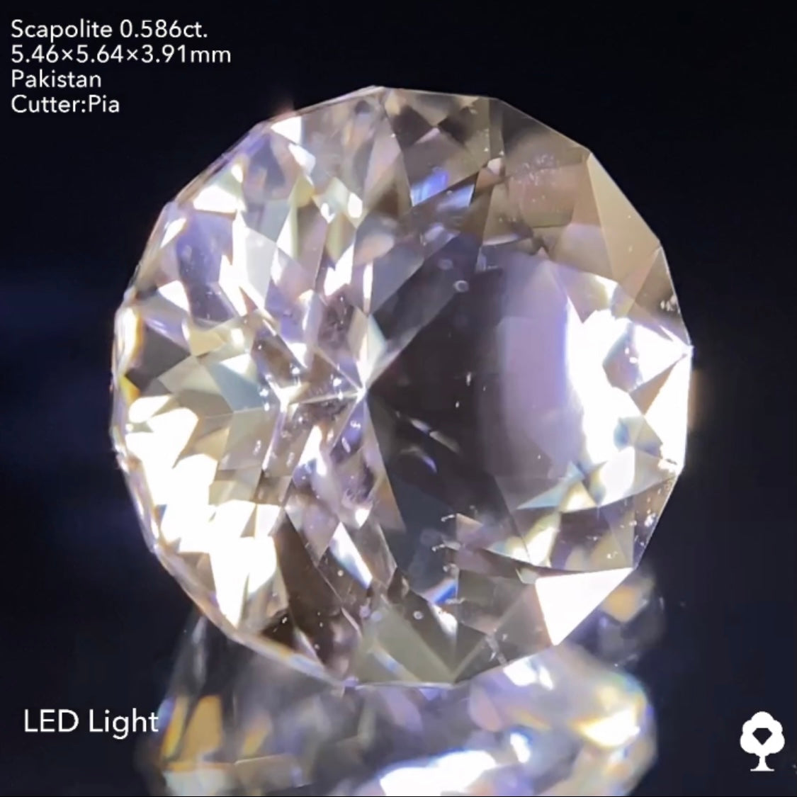 ギラギララウンドが蛍光して美しいたんぽぽになる★スキャポライト0.586ct ピアッちゃん作品