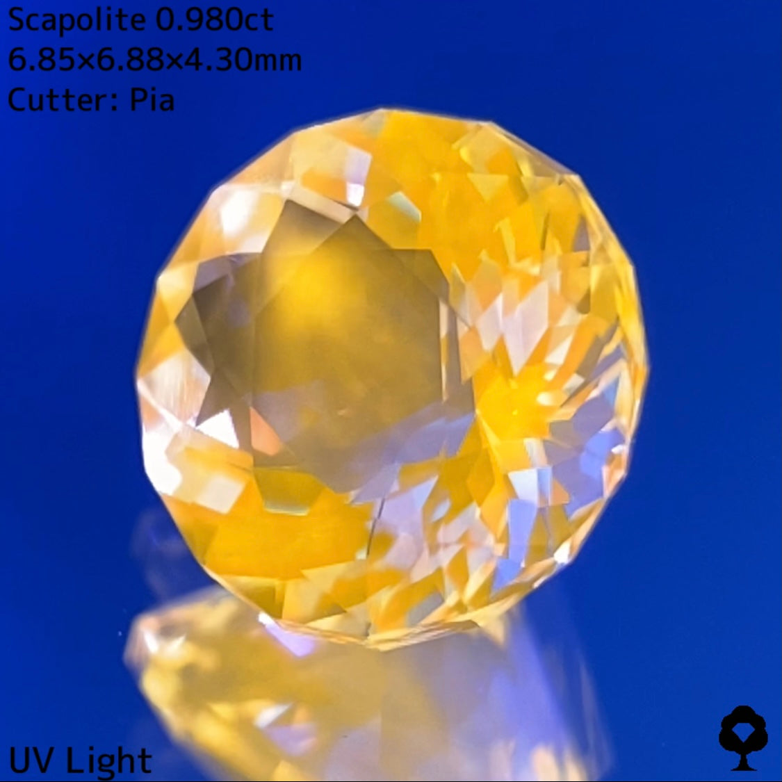【高級プチプラ】スキャポライト 0.980ct