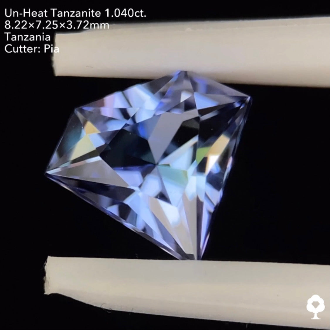 非加熱タンザナイト1.040ct. 宝石形 ピアッちゃん作品