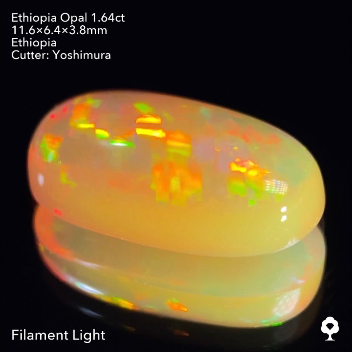 実はハニカムも浮かぶコッペパンのような可愛い形に登る遊色★エチオピアオパール1.64ct 吉村作品