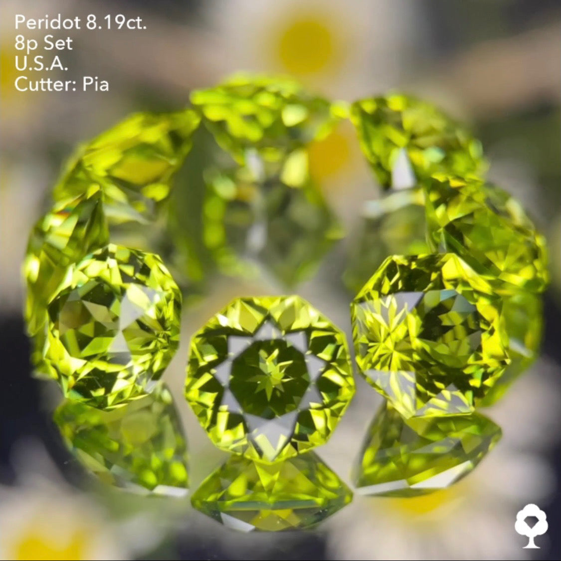 大きさ・クラリティ・輝き抜群の多角形セットはペリ好きの決定版★ペリドット8個多角形セット 計8.19ct. アメリカ産 ピアッちゃん作品