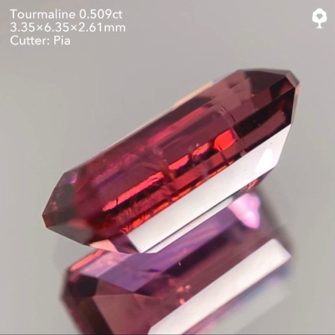 【サイレン配信逆オークション】トルマリン0.509ct ピアッちゃん作品