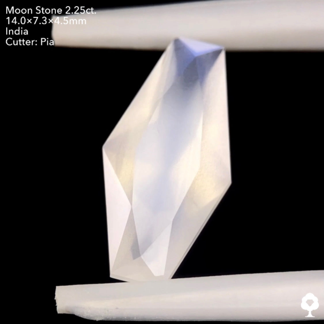 6/12(日)22:00終了‼️テーブルから溢れ出すブルーシラーと幻想的な石質のカッコいいファンシーカイト★ムーンストーン2.25ct. ピアッちゃん作品