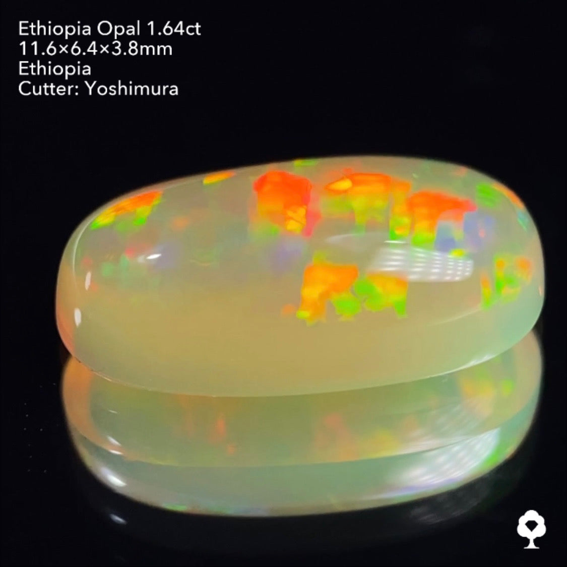 実はハニカムも浮かぶコッペパンのような可愛い形に登る遊色★エチオピアオパール1.64ct 吉村作品