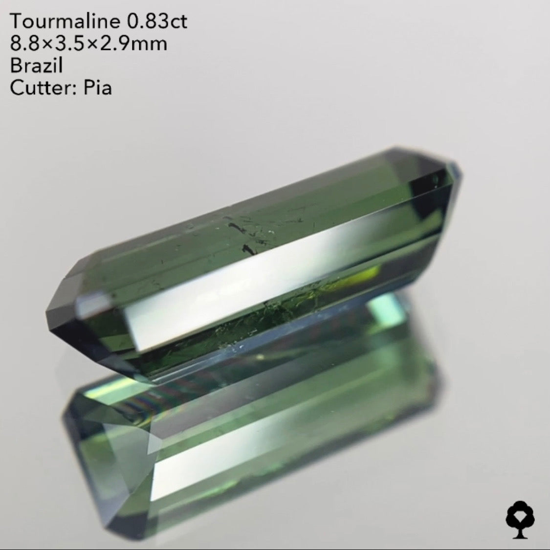 【ご落札者さま専用】トルマリン0.83ct 4/15チャットオークション