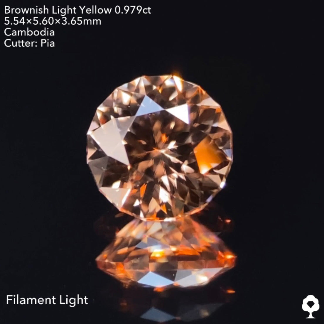 【GTJウェブサイト個展プライス】絶妙な色合いで強烈な輝きのファンシーラウンド★ジルコン0.976ct ピアッちゃん作品