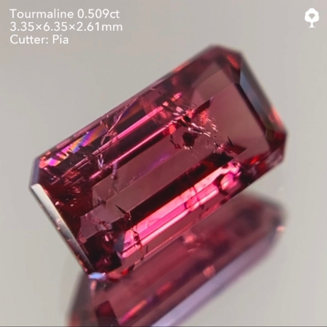 【サイレン配信逆オークション】トルマリン0.509ct ピアッちゃん作品