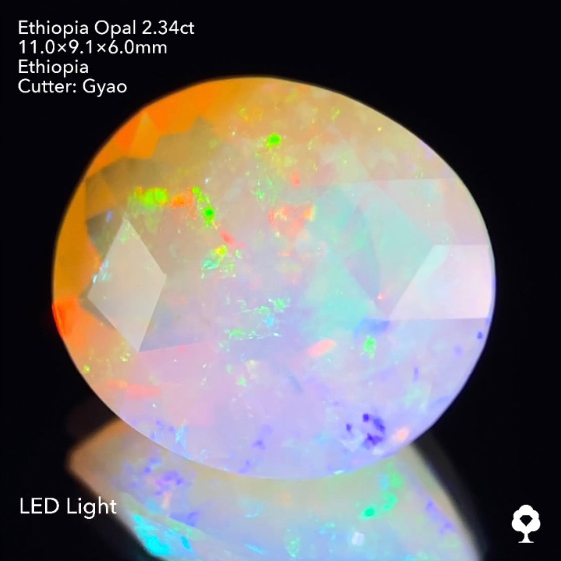 ゲオ先生の独自カット作品「キューブスターカット・オーバルversion」エチオピアオパール2.34ct ✨