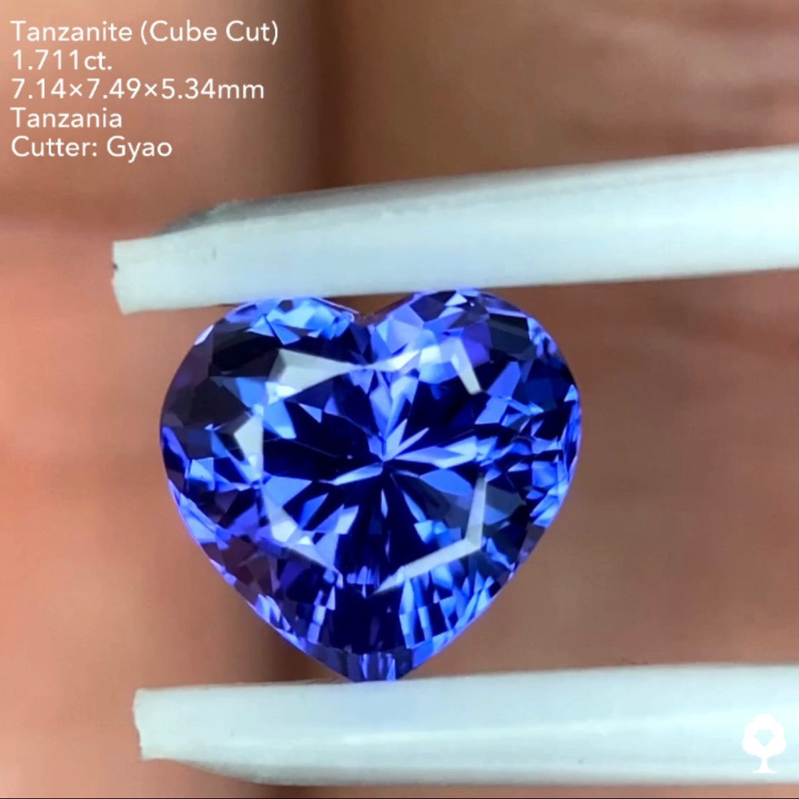 タンザナイト1.711ct. 変則キューブハートシェイプ ゲオちゃん作品