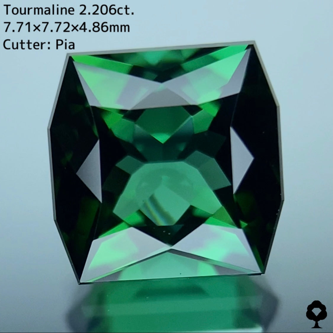 貫禄あるユニークなカタチのオクタゴンに仕上げられた正統派グリーン★トルマリン 2.206ct