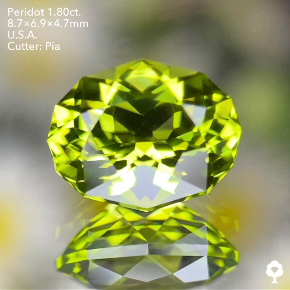 【お客さま専用・誕生石プレゼント】ペリドット1.80ct ピアッちゃん作品