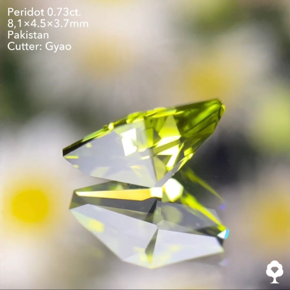 点対象の独創的すぎるゲオちゃんファンシーカイトペリドット0.73ct パキスタン産 ゲオちゃん作品