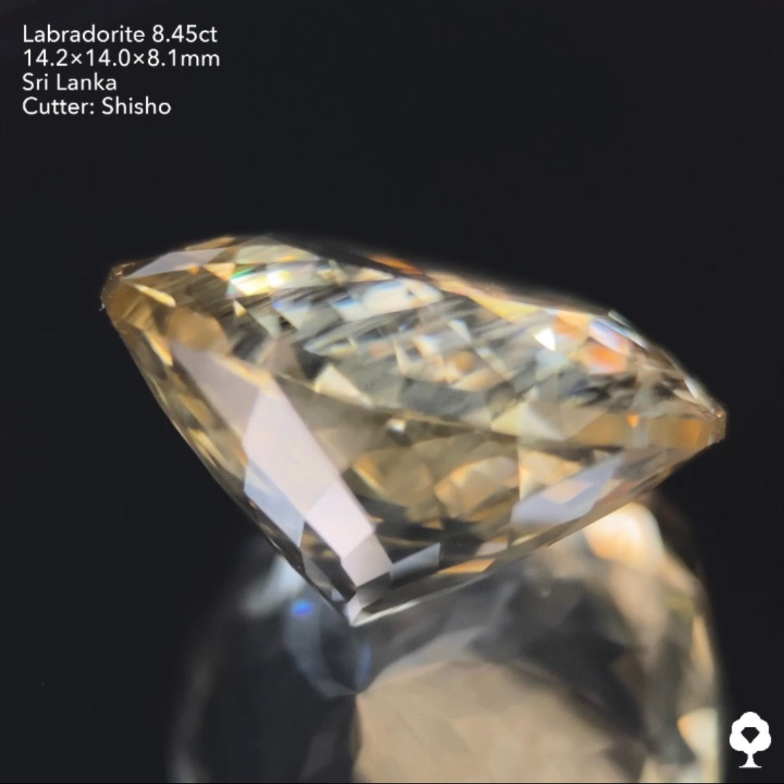 雨降りシラーが潜む大輪の花ファンシーラウンド★ラブラドライト8.45ct 師匠作品