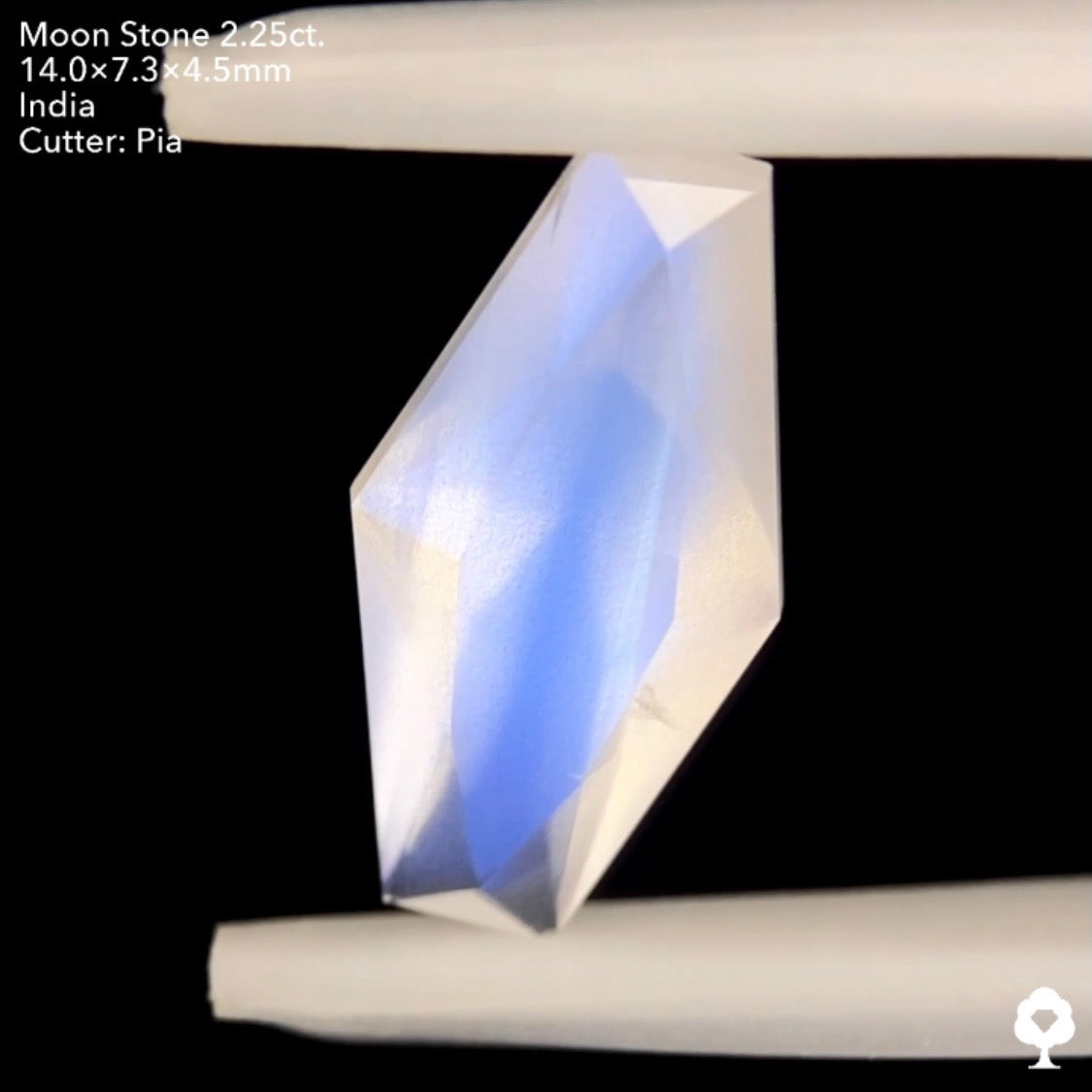 6/12(日)22:00終了‼️テーブルから溢れ出すブルーシラーと幻想的な石質のカッコいいファンシーカイト★ムーンストーン2.25ct. ピアッちゃん作品