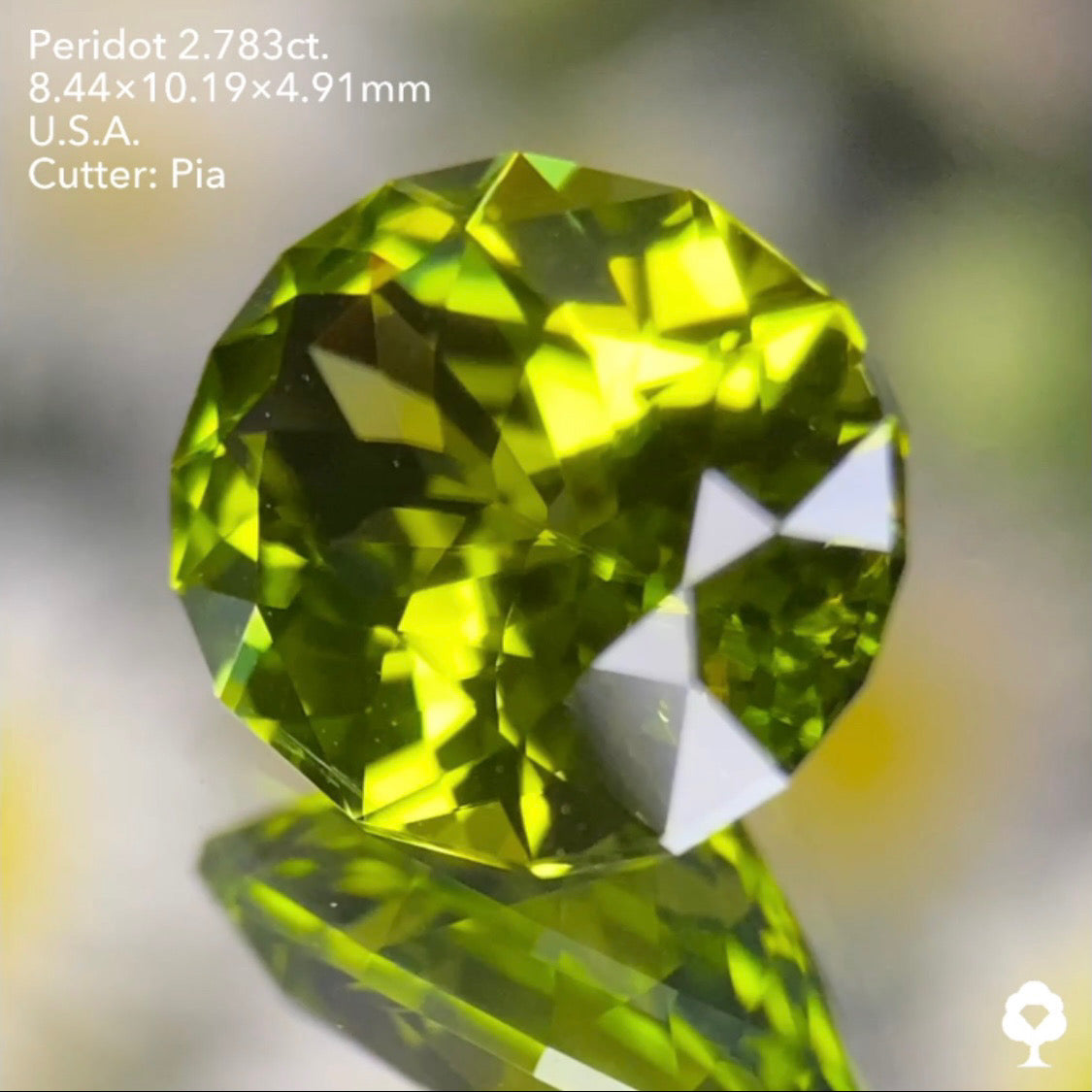 【5万円スタート❗️2023カウントダウン逆オークション】美色高品質のコレぞピアッちゃんの王道ファンシーオーバル★ペリドット2.783ct. アメリカ産 ピアッちゃん作品