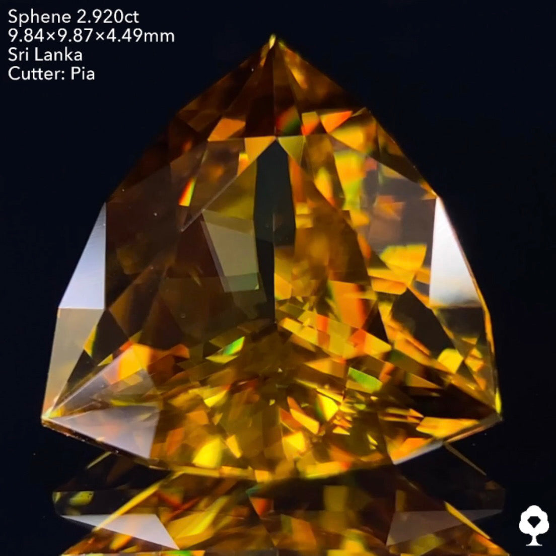 抜群のプロポーションのファンシートリリアント🌈スリランカ産スフェーン2.920ct✨ピアッちゃん作品💎