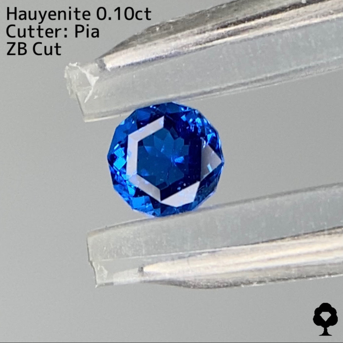 【ZBカット】アウィンナイト0.100ct. ピアッちゃん作品