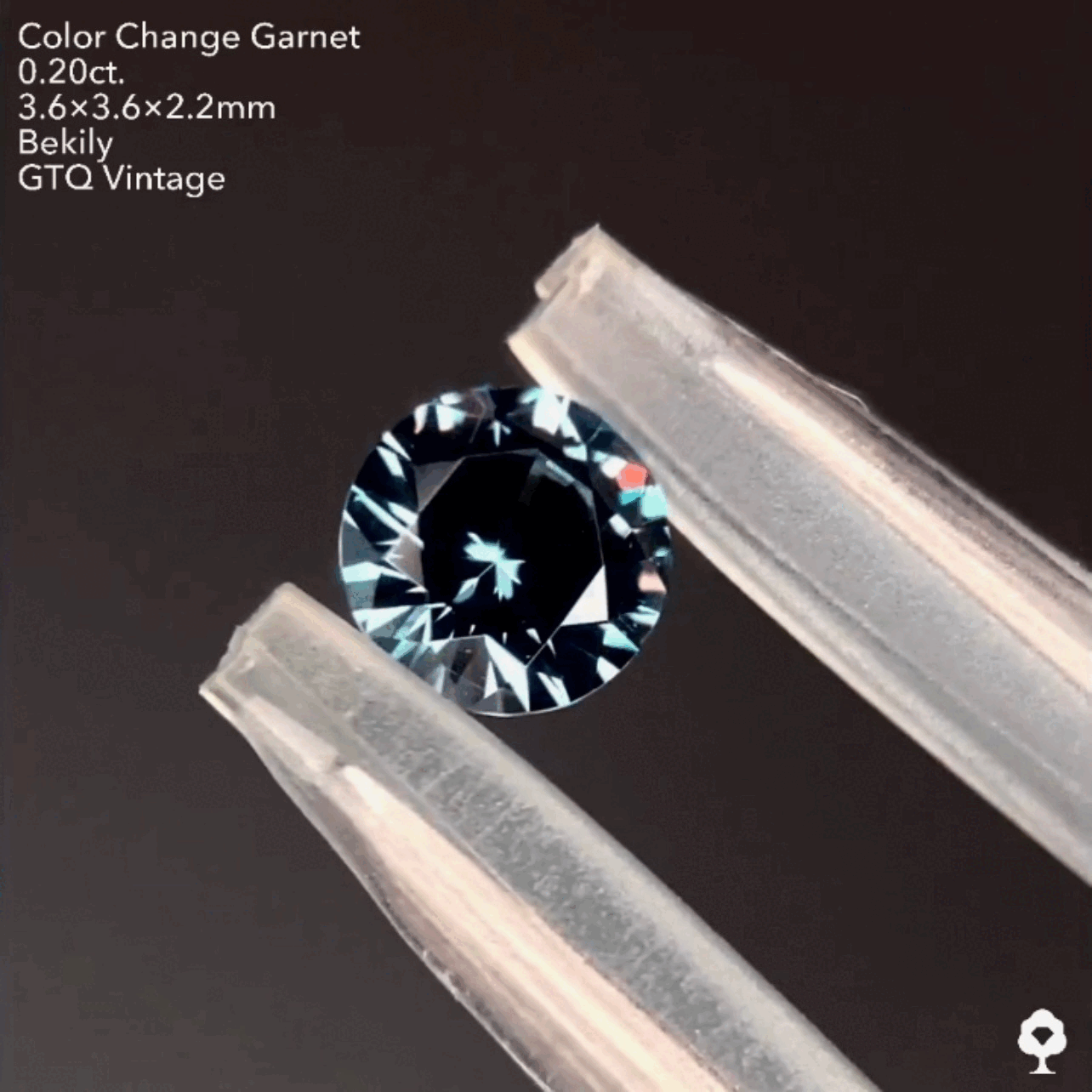 No19.🌊良き質🤤ベキリー(カラーチェンジ)ガーネット0.20ct❤️🔥全サイトでイッキに販売スタートLive💎✨❤️🔥🔦