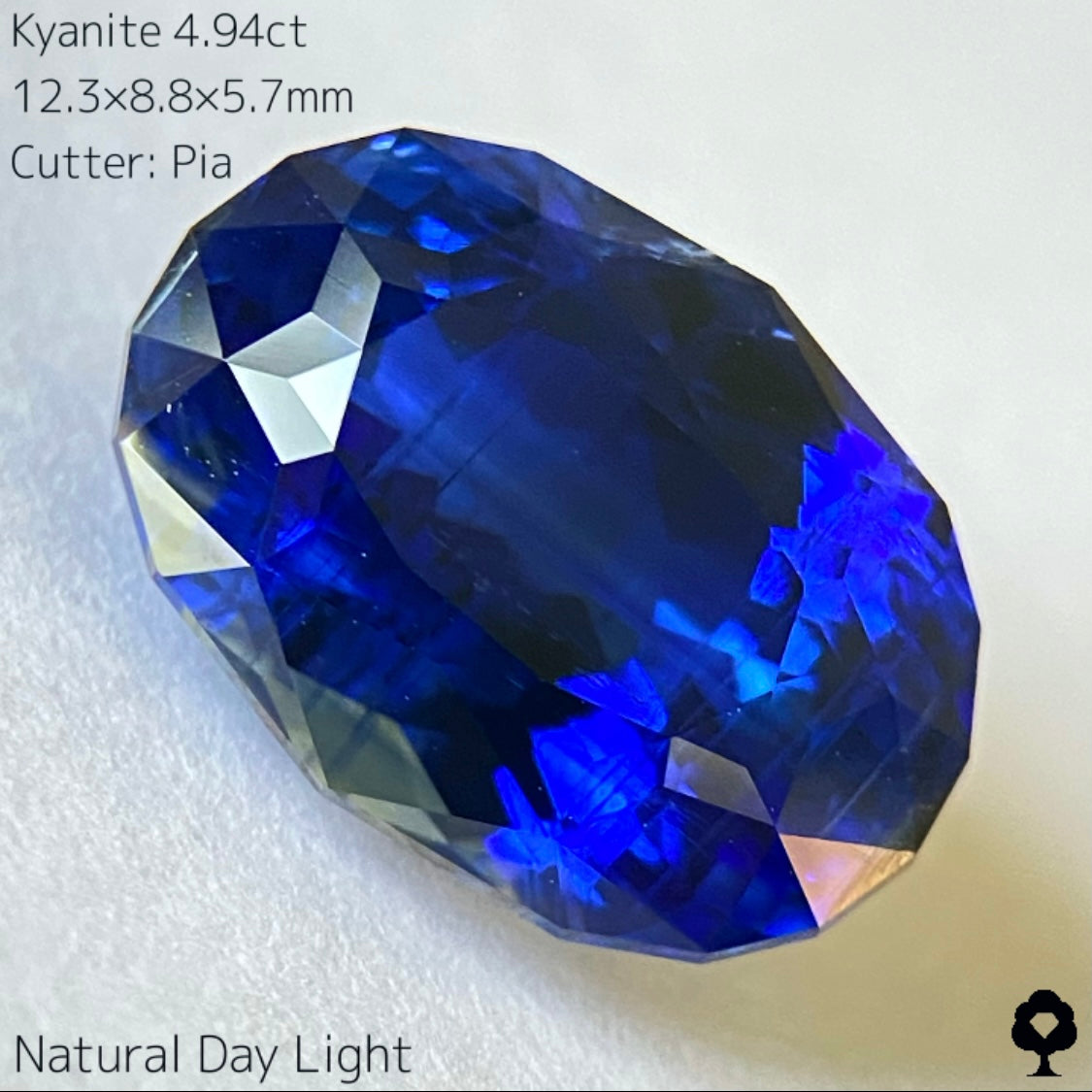 【難題に逃げずに挑み続ける】ロイヤルブルーカイヤナイト4.94ct★カット難易度最上級の一級品ロイヤルブルーをどこにも無い輪郭縁取りカットに仕上げた逸品★ピアッちゃんカイアナイト制覇記念プライス★