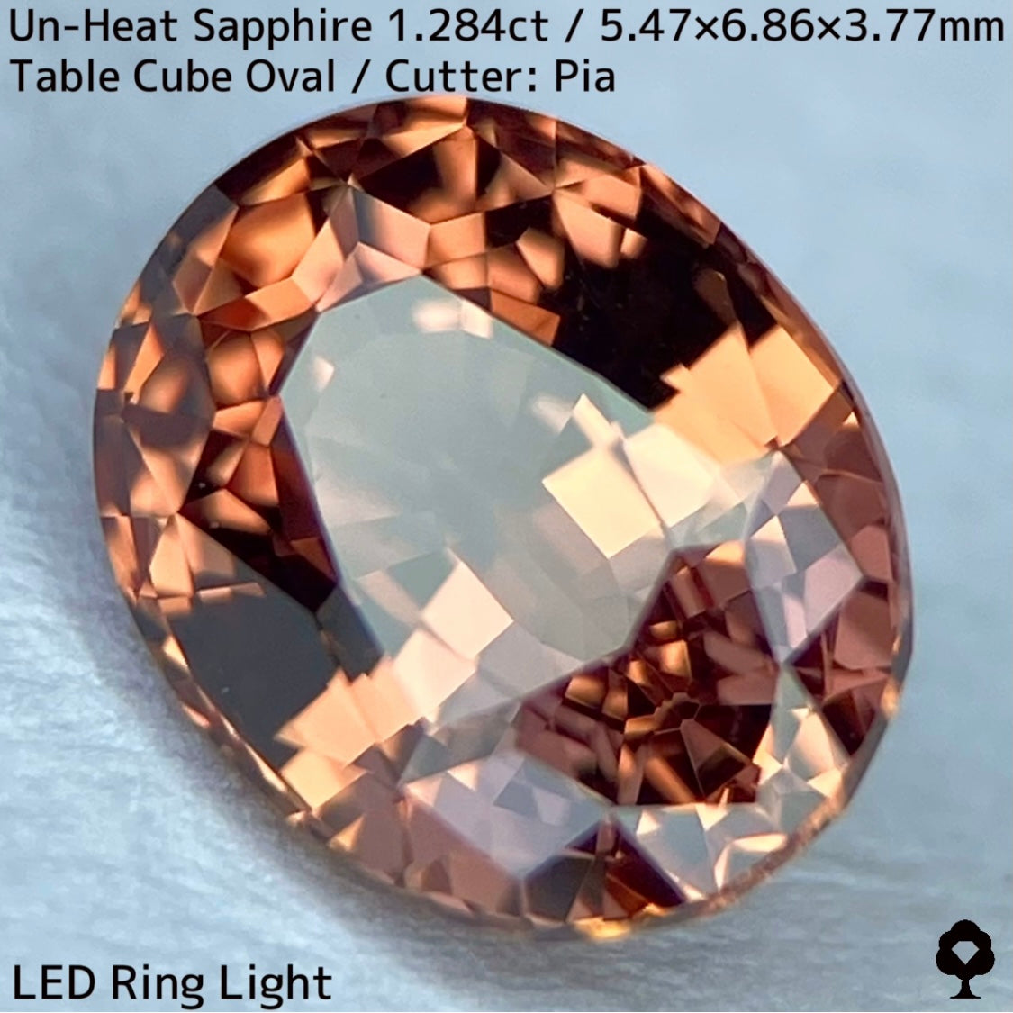 タンザニア産非加熱サファイア1.284ct