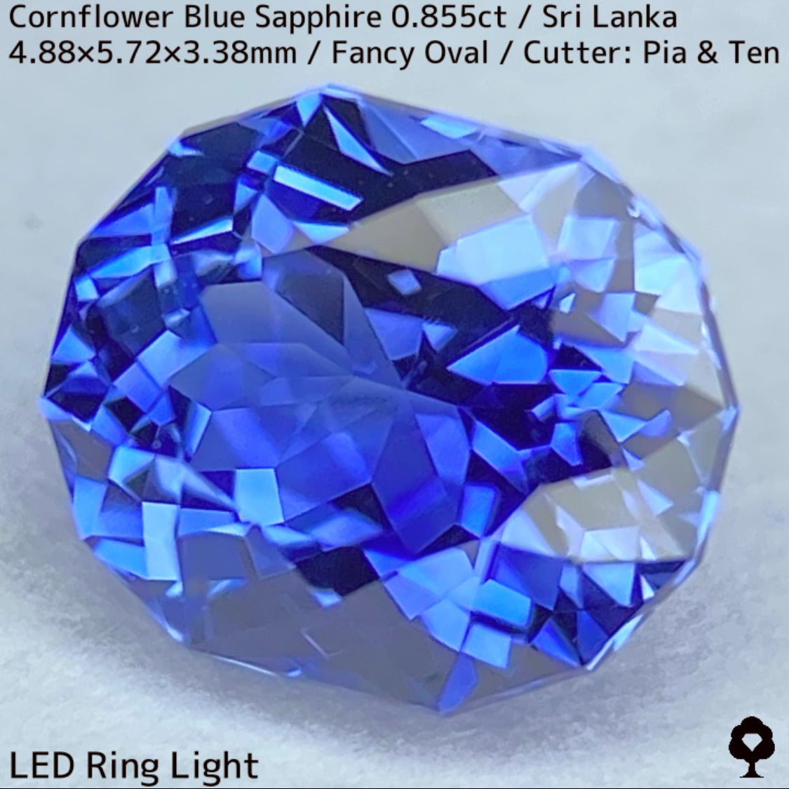 新しい スリランカ産コーンフラワーブルーサファイア0.855ct☆クリアで その他