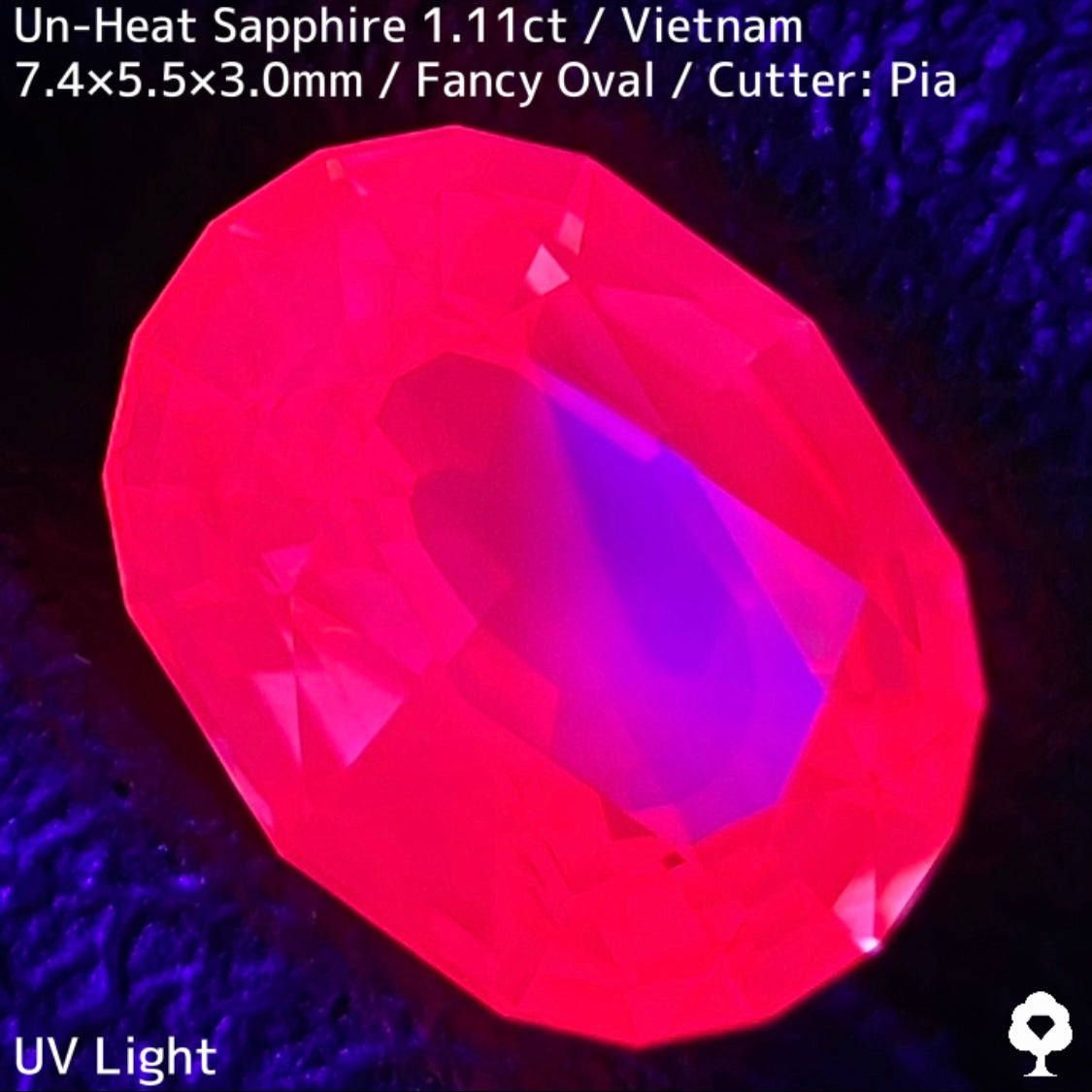 ベトナム産非加熱サファイア1.11ct – GemTreeJapan